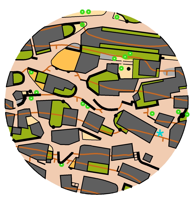Sprint map with intricate streets and route choices